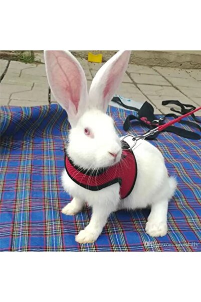 ozzipetshop Tavşan Tasması Fileli Nefes Alan Kumaş