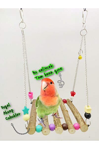 ozzipetshop Forpus - Cennet -sultan Papağanı Ahsap Dogal Kopru Salincak