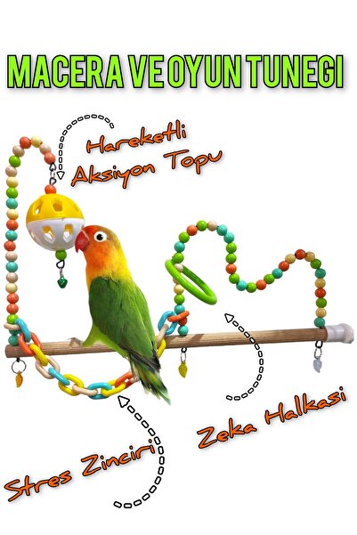 ozzipetshop Kuş Oyun Parkuru - Kuş Icin Eglenceli Oyuncak Tunegi