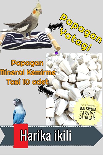 ozzipetshop Sultan Papağanı Oyuncak Yatak -10 Adet Sultan Papağanı Mineralli ...