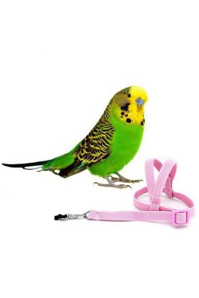 ozzipetshop Kuş Tasması - Muhabbet Kuşu, Cennet Papağanı Için Renkli Ve Güvenli Tasma Seçenekleri