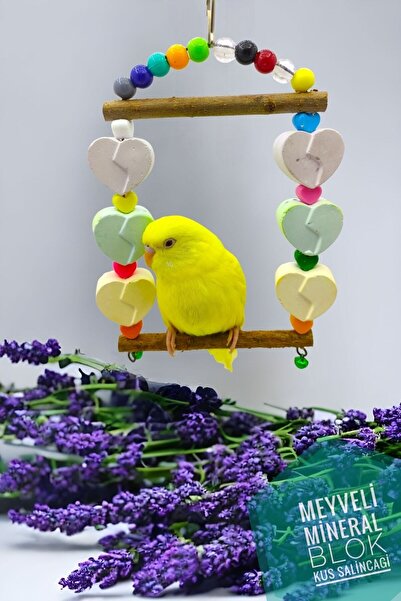 ozzipetshop Muhabbet Kuşu Salincak Meyveli Kemirme Kraker