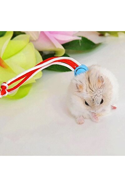 ozzipetshop Hamster Tasması - Patentli Ayarlanabilir Tasarım, 120cm Uzunluk, ...