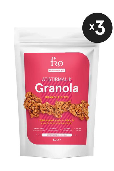 FRO 3 Pack Snack Granola Vegan Gluten Free Sugar Free Snack Healthy Snack Granola