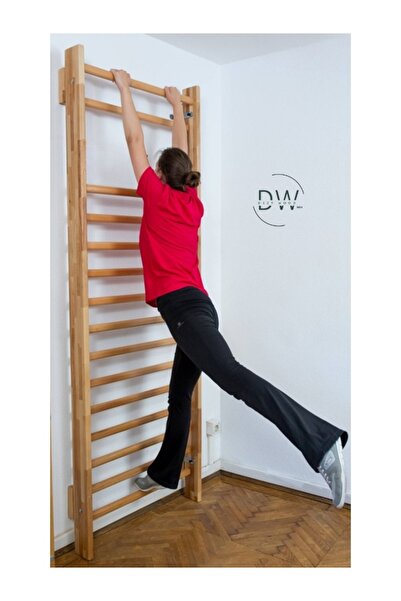 DizyWood İsveç Merdiveni, tedavi Barı