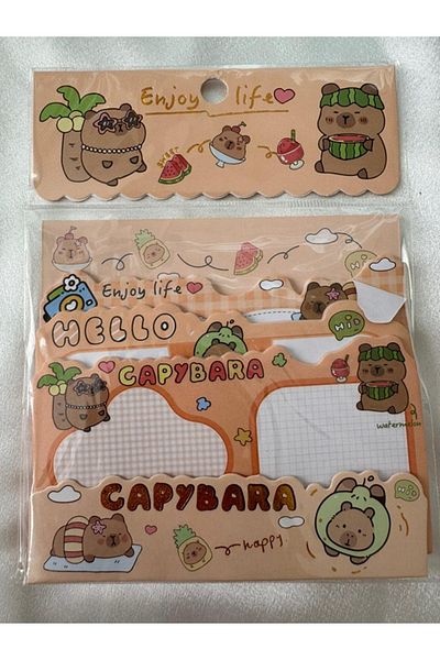 PARLAK EVREN Sticky note paper