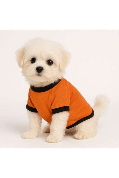 NEVERMIND Palm Sunset Print Dog T-Shirt - Summer Cat & Dog Apparel