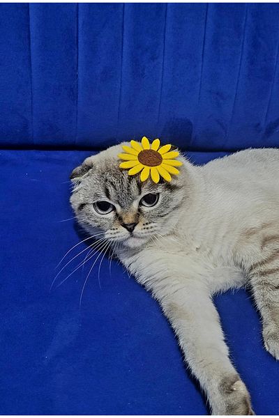 LO ADORO 2Pcs Yellow Daisy Buckle Cat Dog Buckle Our Little Friend Hairpins Dog Cat Accessory
