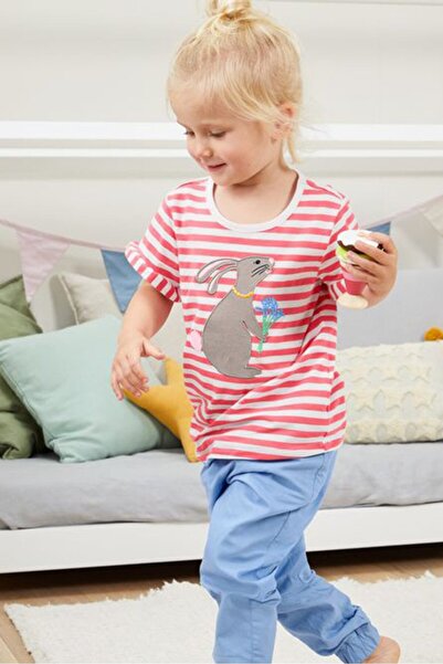 Tchibo Toddlers Girl 2 Pcs Embroidered And Plain Top, Pink and Blue