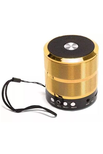 ABYZ Mini difuzor portabil, corp metalic, Bluetooth, card microSD. Radio, Aux, auriu.