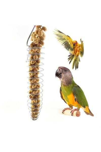 Choice 9.06x1.77inch Stainless Steel Parrot Forager Feeder Durable Outdoor Bird Feeding Device Spiral Desig