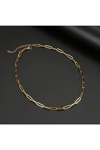 DESİGNEDBYD Women's 316l Stainless Steel Vintage Modern Gold Elegant Necklace