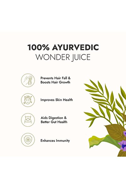 KAPİVA KAPIVA Wild Amla Juice 1 litre