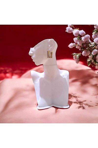 feyza collection Zircon Stone Square Vip Steel Earrings