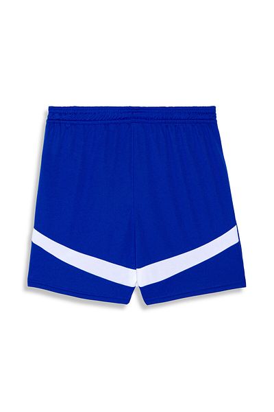 Puma Youth Kids Al-hilal Sfc 24/25 Shorts - Blue