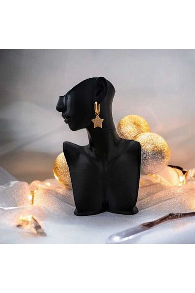 feyza collection Zircon Stone Dangle Star Vip Steel Earrings