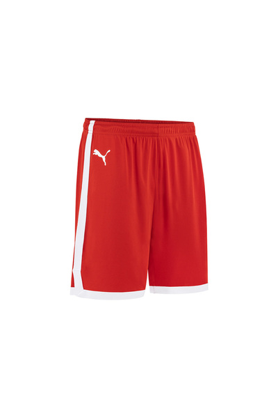 GSStore Galatasaray Puma 2024/2025 Milli Takım Basketbol Şort 60660502