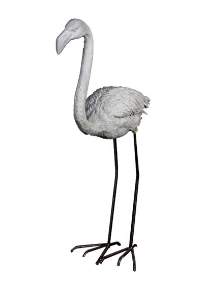 Genel Markalar BÜYÜK FLAMİNGO BAHÇE