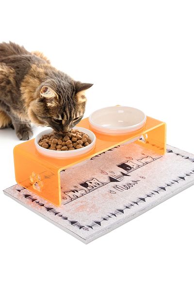 GOBYPET 2 Pack Orange Plexi Decorative Cat and Dog Ceramic Food & Water Bowl Mat Gift