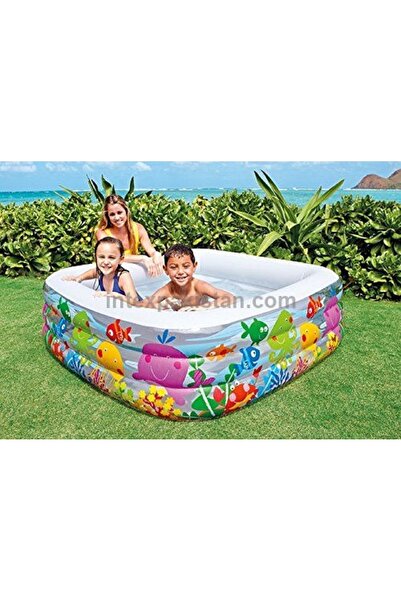 Intex Swim Center Clear View Aquarium Pool