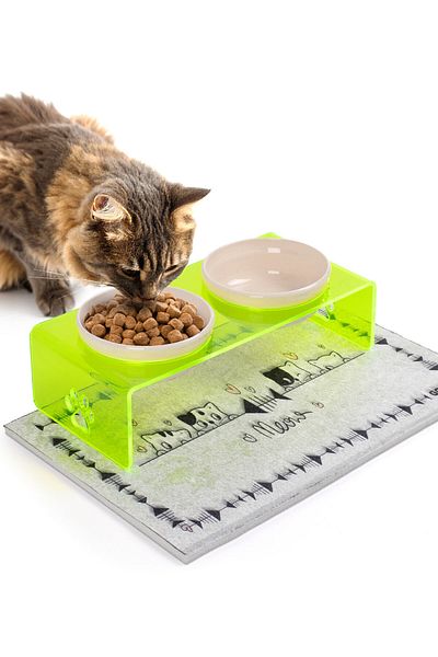 GOBYPET 2 Pack Green Plexi Decorative Cat and Dog Ceramic Food & Water Bowl Mat Gift