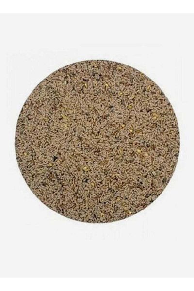 Generic Cotton seeds 500 grams
