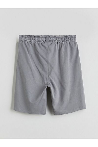 LC Waikiki Standard Fit Men's Shorts