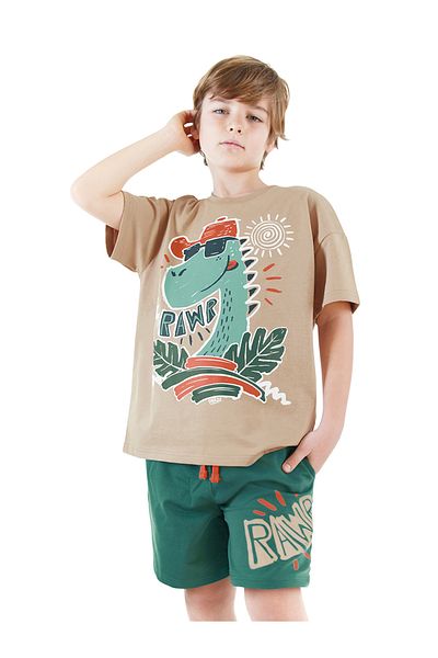 Denokids Summer Dino Boy T-Shirt Shorts Set