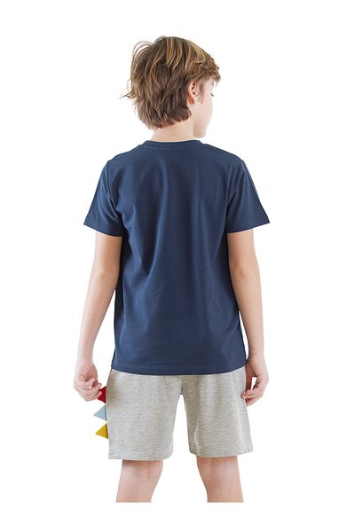 Denokids Rawr Boy's T-Shirt Shorts Set
