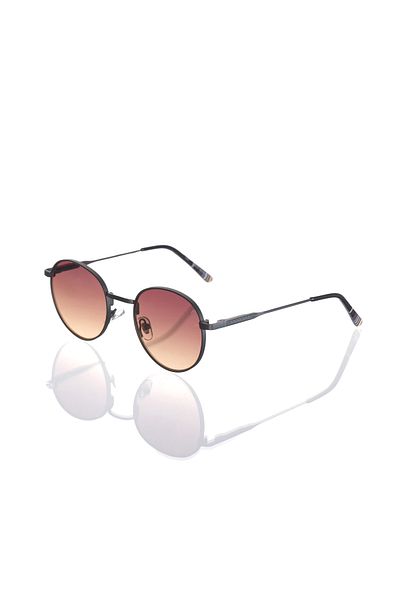 AR COLLECTİON Plus Unisex Metal Sunglasses Ar135 C31