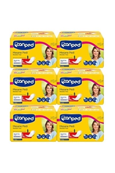 Canped MESANE PEDİ 10 LU LARGE (L) 6 ADET