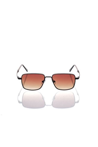 AR COLLECTİON Plus Men Metal Sunglasses Ar262 C35