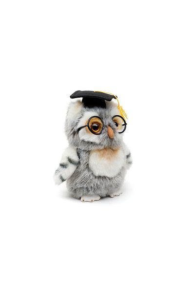 JPT Plush Graduate Owl Toy 19cm nat geo