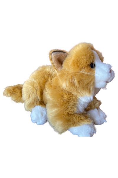 JPT Nat Geo Orange Tummy Time Plush Cat Toy