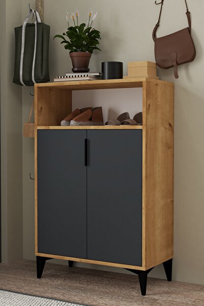 Evmo Home 1204 Ada Ayakkabılık 4 Raflı 2 Kapaklı Çok Amaçlı Dolap Antrasit Safir