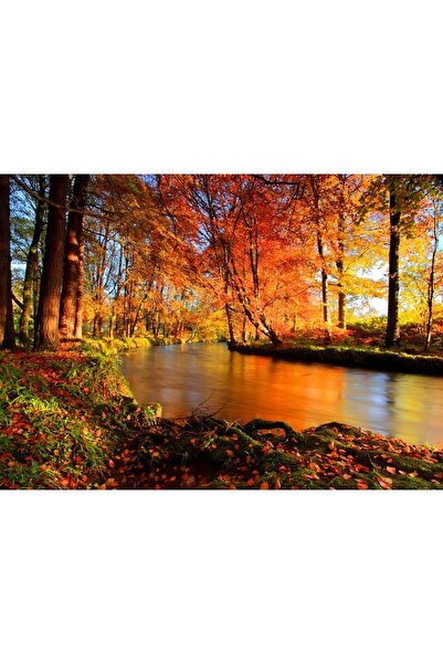 ve Tablou Canvas,Apa, Padure, Toamna, 70 x 50 cm, Rama lemn, Multicolor