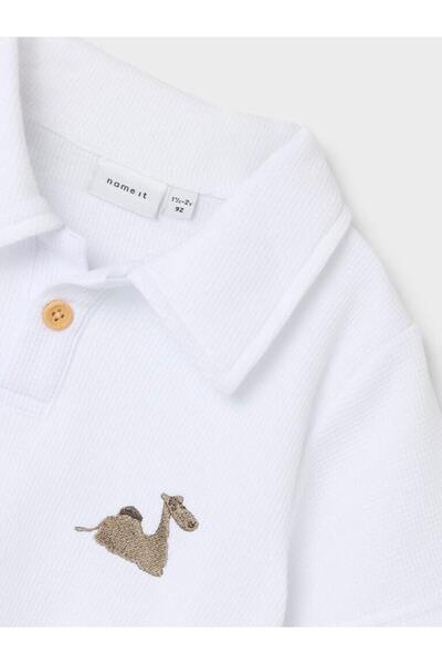 name ıt Male Circular Knit Polo