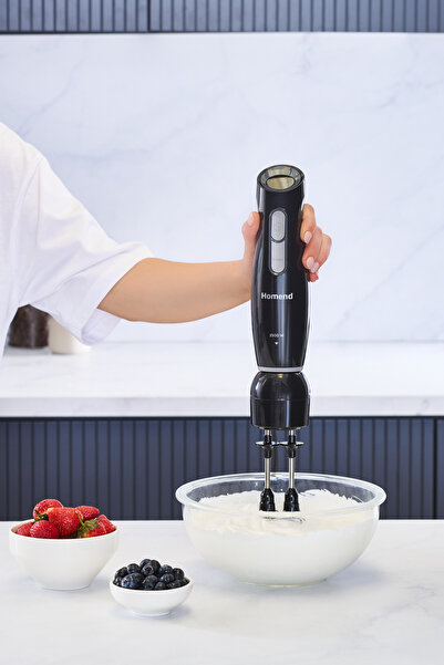 HOMEND Functionall 2849H Mutfak Robotu