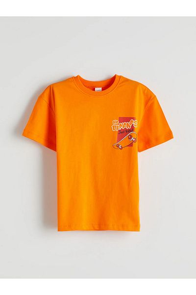 LC Waikiki Legendary Monkey Printed Boy's T-Shirt