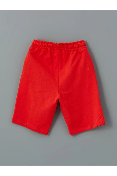 LC Waikiki Printed Boys' T-Shirt and Shorts 2-Pack