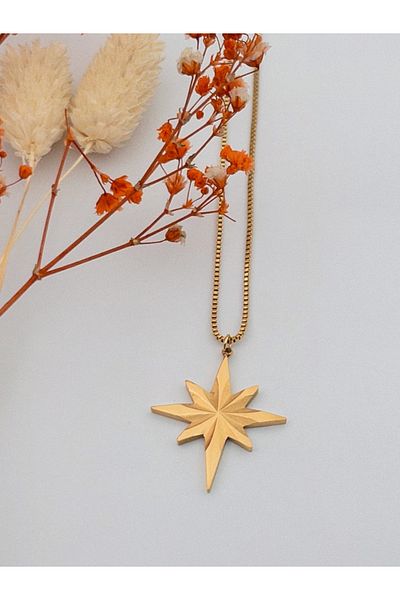 Siya Silver North Star Anti-Tarnish Steel Necklace