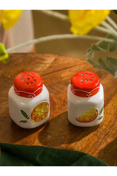 LC Waikiki Colorful Store Lcw Home Mixed Printed Ceramic Salt and Pepper Shakers Set