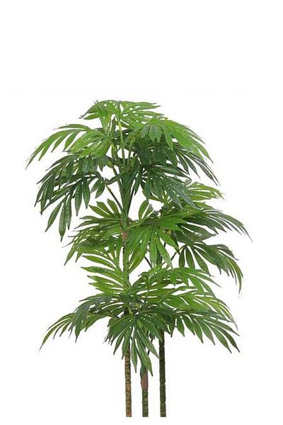 Generic Artificial Flowers - Black - 101 - 125 cm