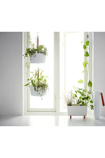 IKEA BITTERGURKA وعاء نباتات