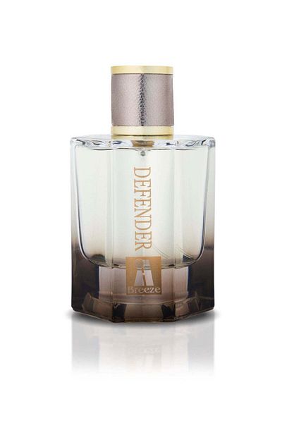 Breeze Defender Breeze Perfume for Men 100ml
