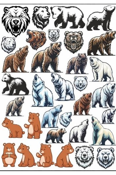 Reysa Tasarım Bear Sticker Set