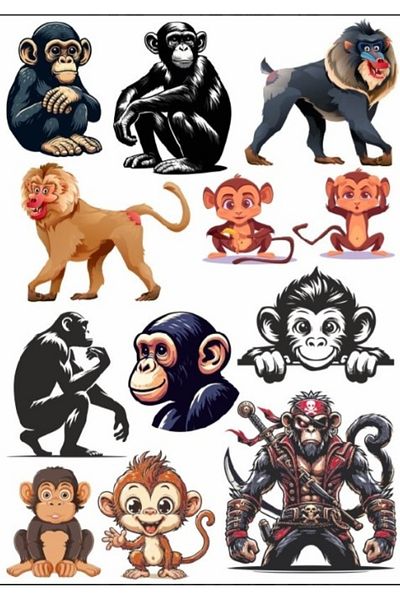 Reysa Tasarım Monkey Sticker Set