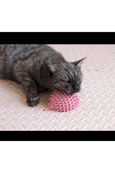 Wuun Store Cat Itching and Rubbing Apparatus Hedgehog Pink