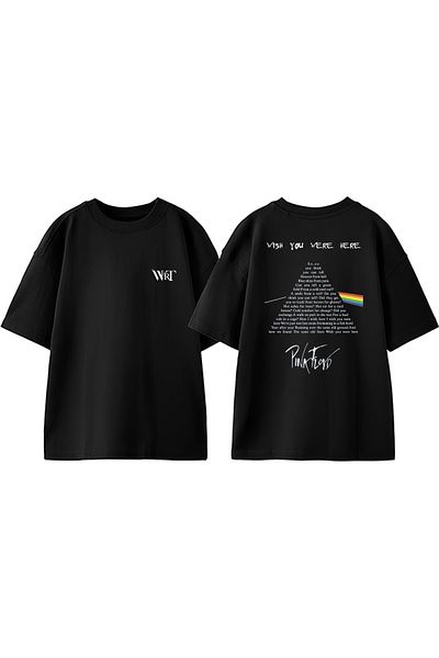 THEWERT Pınk Floyd Pyramid Design Back Printed Cotton Black Oversize T-Shirt