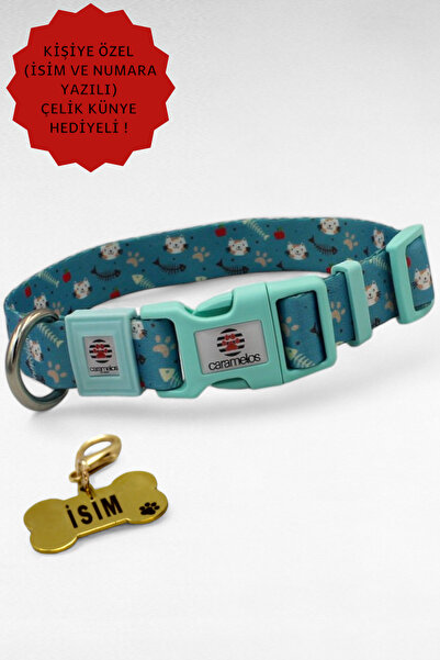 CARAMELOS KÖPEK TASMA SETİ KİŞİYE ÖZEL İSİMLİ TASMA, H TİPİ TASMA ,GÖVDE BOYUN GEZDİRME TASMASI, KÖPEK KÜNYE